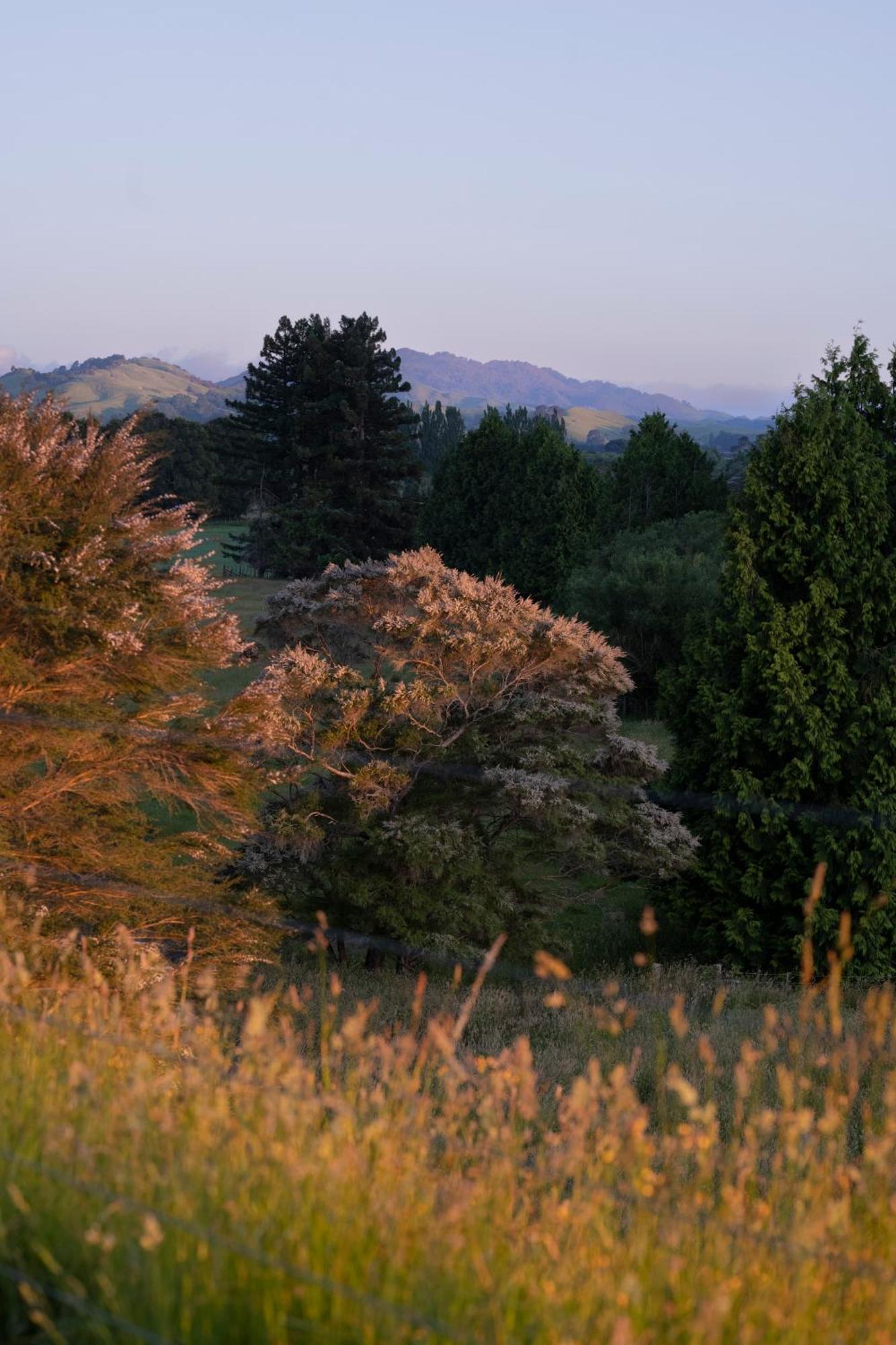 마스터톤 Ranginui Retreat 빌라 외부 사진